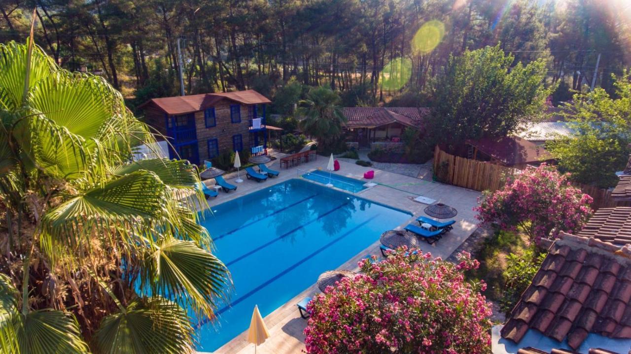 Olympos Forest House Hotel Yazir  Ngoại thất bức ảnh